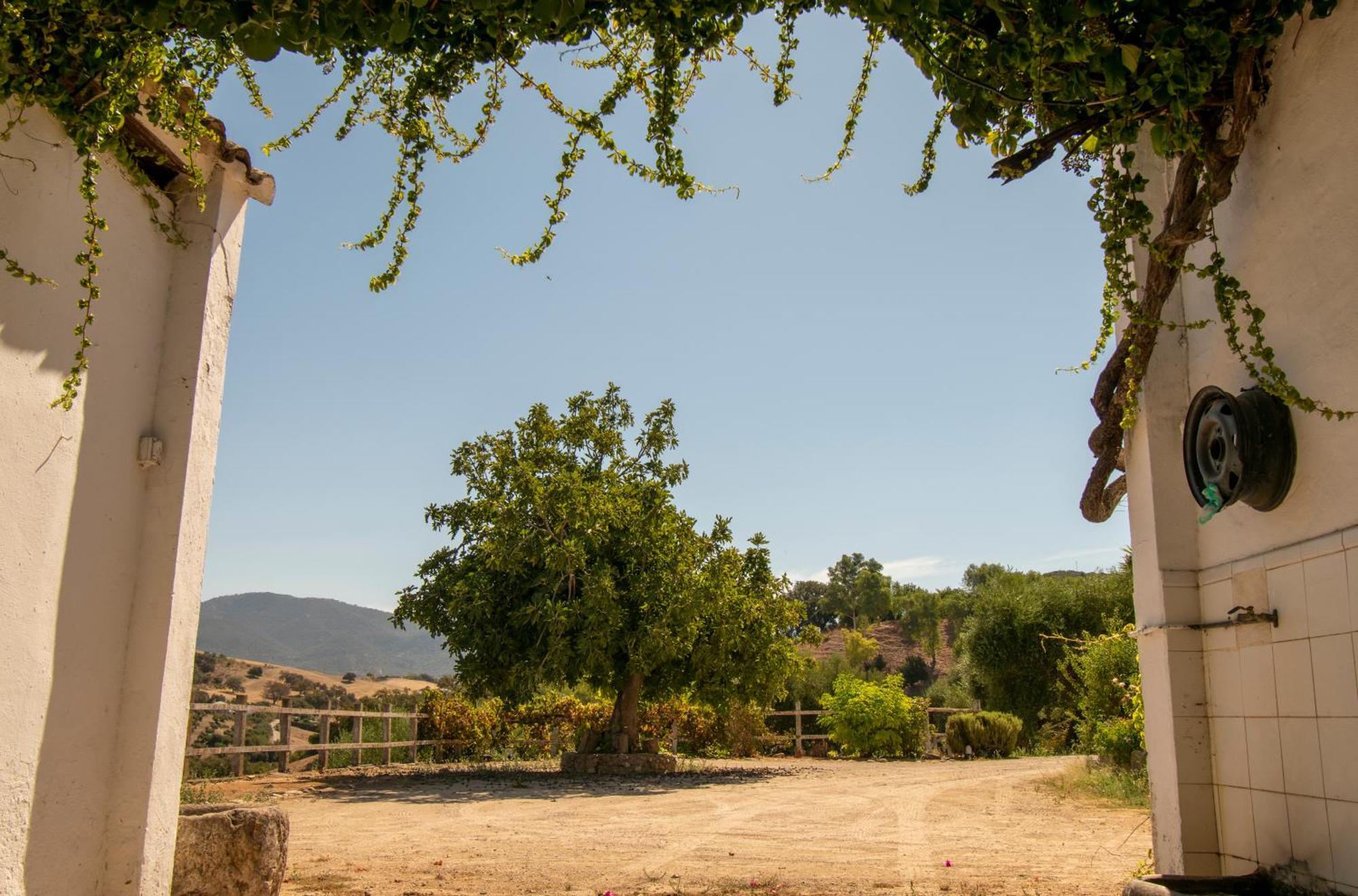 Casa Rural El Carmen Prado Del Rey Εξωτερικό φωτογραφία